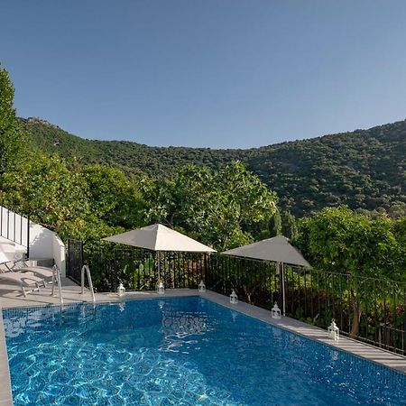 Stunning Home Benamahoma 4 Bed - Sierra Grazalema Eksteriør bilde
