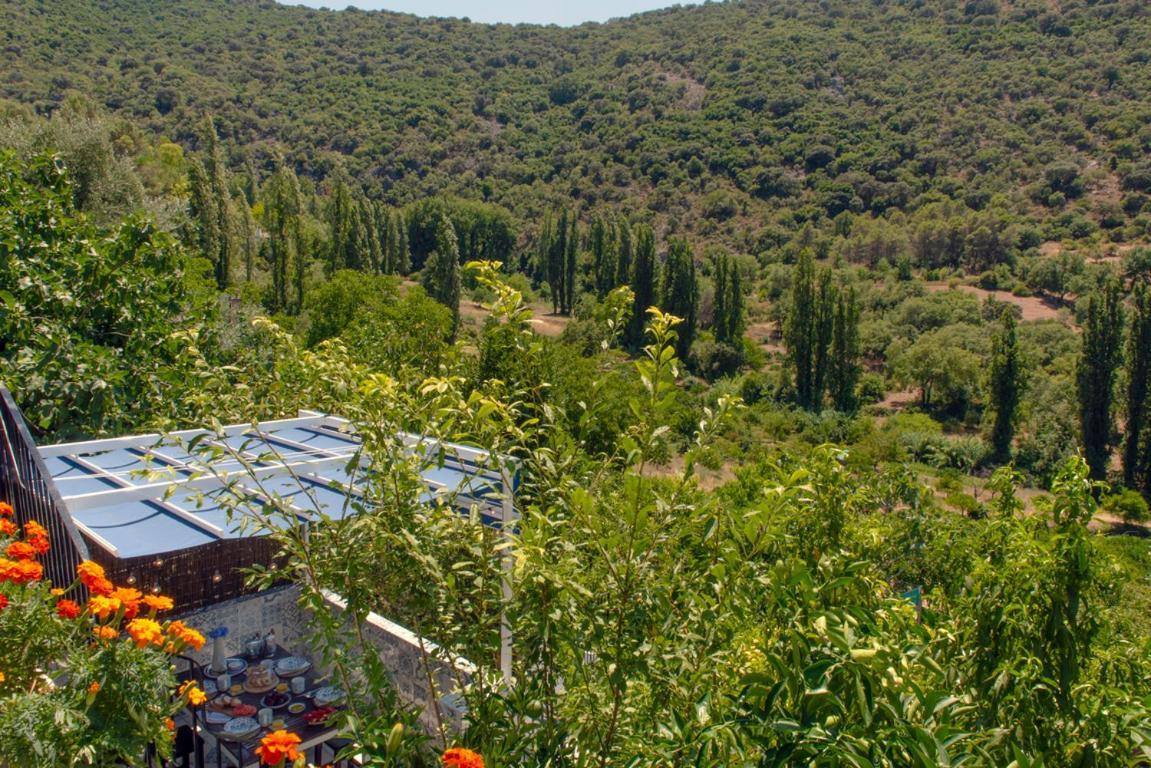 Stunning Home Benamahoma 4 Bed - Sierra Grazalema Eksteriør bilde